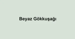 Beyaz Gökkuşağı