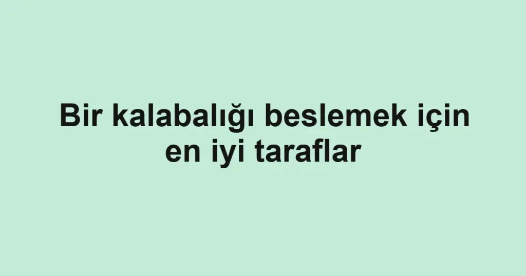 Bir kalabalığı beslemek için en iyi taraflar