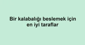 Bir kalabalığı beslemek için en iyi taraflar