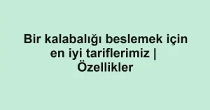 Bir kalabalığı beslemek için en iyi tariflerimiz | Özellikler